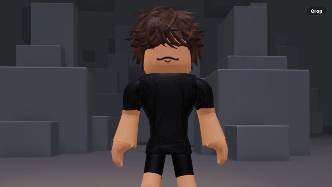 Either Text to Speech or my Real Voice!