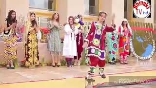 Dasi Program 222