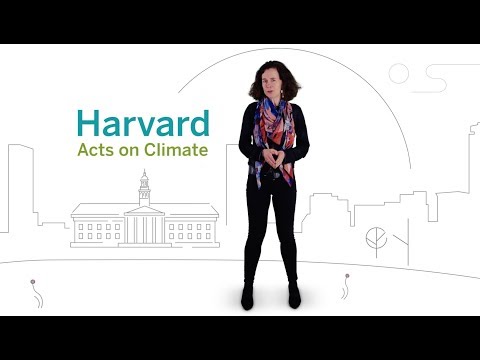 Why Harvard is committing to Fossil-Fuel Free