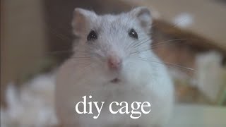 New Hamster Cage Tour by Naomi 1,036 views 3 years ago 1 minute, 51 seconds
