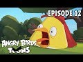 Angry Birds Toons | Boulder Bro - S2 Ep12