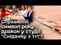 🐉 Яка вона крута! У неї аж 226 дітей! Символ року ДРАКОН ГРЕТА - в студії &quot;Сніданку з &quot;1+1&quot;