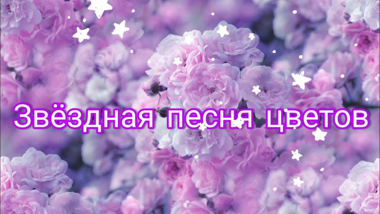 ПОЖЕЛАНИЯ ПОЗИТИВ МУЗЫКА Группа на OK.ru Вступай, читай, общайся в Одноклассника