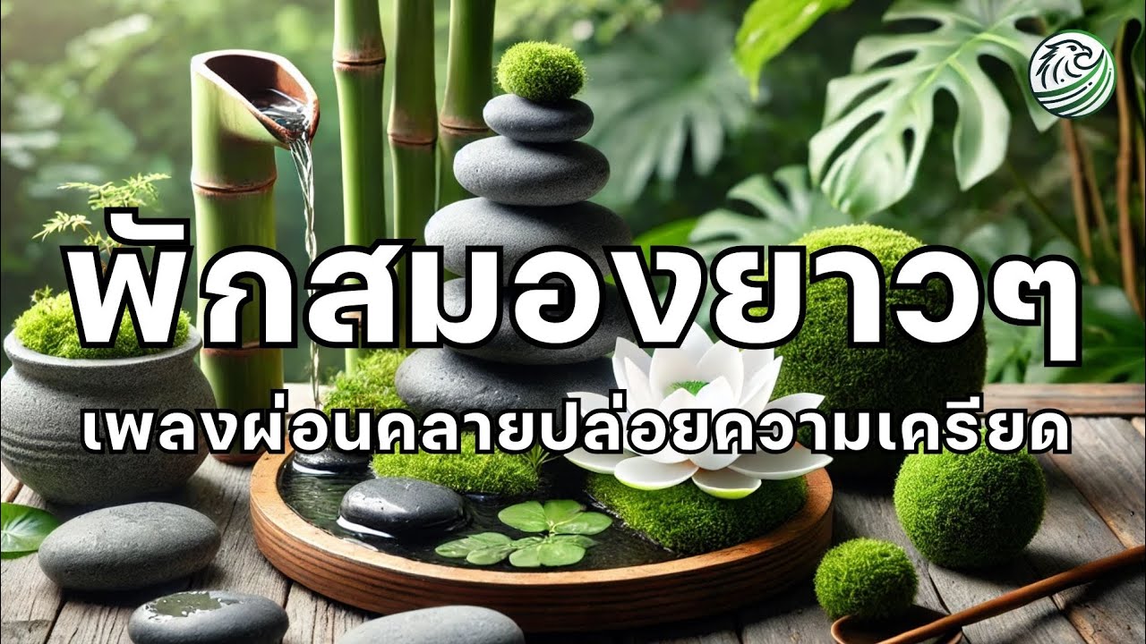 เพลงผ่อนคลาย พักสมองยาวๆ ช่วยให้จิตใจปล่อยความเครียด ดนตรีบำบัดความเครียด เพลงบำบัด ดนตรีรีเซ็ตจิตใจ