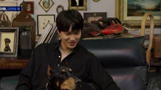 Dogs Being Whipped For Exo Kai