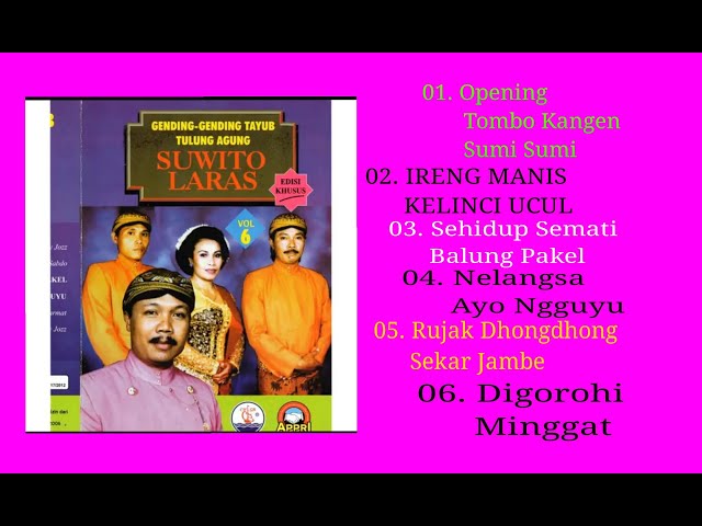 Tayub Suwito Laras Tulungagung Vol 6 class=