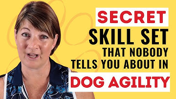 How to Start Dog Agility - Part 2 of 3 | Dog Agility | Dog Agility Training