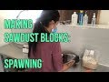 Part 3: Making sawdust mushroom blocks: Spawning