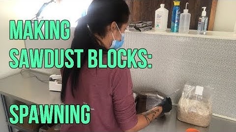 Part 3: Making sawdust mushroom blocks: Spawning