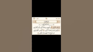 سورة قريش - محمد اللحيدان