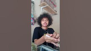 KELAS MELINTING !!! CARA NGELINTING MENGGUNAKAN TANGAN DAN RIVIEW GAYO DARI ACEH