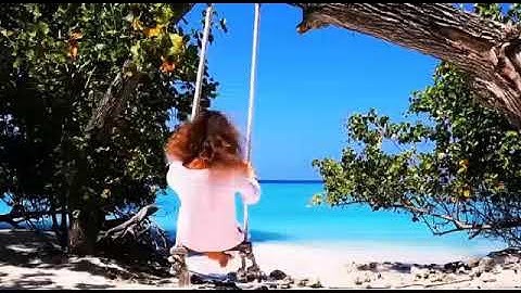 🚦The cryptounit program (NEEW)