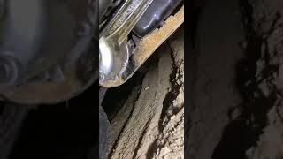 Broke another front differential Zr2 Chevy Tracker Suzuki Vitara