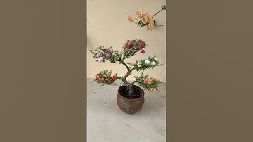 Creative planting ideas for home garden, #garden #shorts #plants