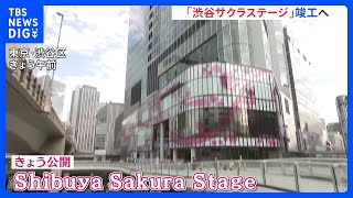 “100年に1度の再開発”　渋谷駅周辺で新たなビルが竣工 「渋谷サクラステージ」 来年の夏ごろに全面開業予定｜TBS NEWS DIG