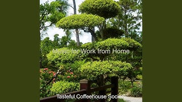 Sumptuous Backdrop for Staying Focused