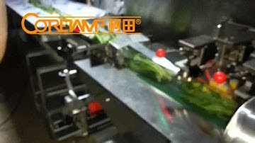 Celery/ Zucchini /Carrot / Rosemary/ Aloe Vera Horizontal Flow Pack Wrapper Machine -( HFFS)