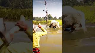RDR2 Survival Fail: Bear vs Alligator Showdown - #rdr2 #reddeadredemption #shorts #gaming #trending