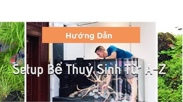 Bể Cá Thần Tiên | Update | AQUA MINI | Angel Fish | Chăm sóc, Bảo Dưỡng | Hướng Dẫn Chăm Sóc