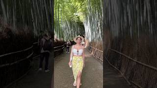 Bamboo Forest In Kyoto Japan
