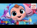 Baby Shark Dance | Little Angel | Most Popular Songs for Kids