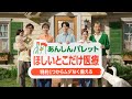 ほしい安心で「生きる」を彩る保険 あんしんパレット　心配が増えたら篇　字幕