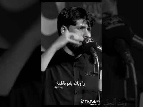 ستوريات حسينيه حزينه واويلاة يابو فاطمه مرتضى حرب حالات واتساب