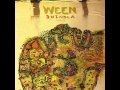 Ween - Did You See Me?
