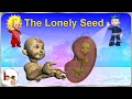 Story on how plant grows from seed - The Lonely Seed - English