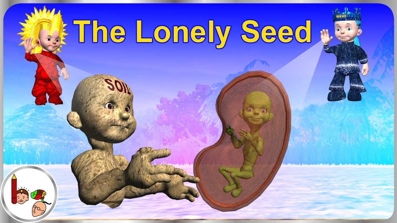 The Lonely Seed -  Story on birth of plant - Bodhaguru Animated Stories | Moral Stories for Kids