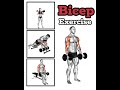 Bicep Workout_2 #2026 #BicepWorkout#ArmWorkout#DumbbellWorkout#HomeWorkout#FitnessShorts