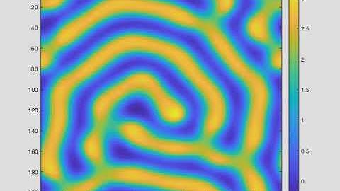 Turing Pattern Formation