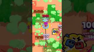 Você Gosta Da Shelly?