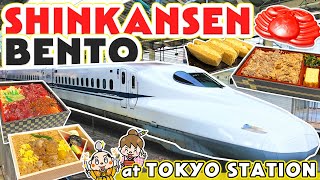 Japan Shinkansen (bullet train) Bento Box (ekiben) at Tokyo station