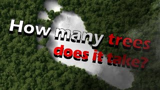 How Many Trees Does It Take to Offset Your Carbon Footprint?