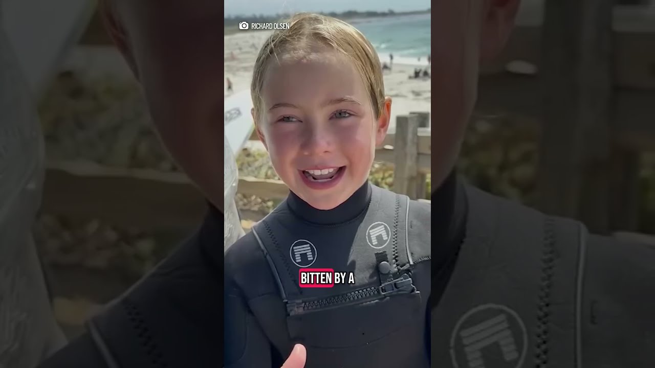 In The News Search Continues For Missing Teen Sea Lion Attack Restaurant Rating App