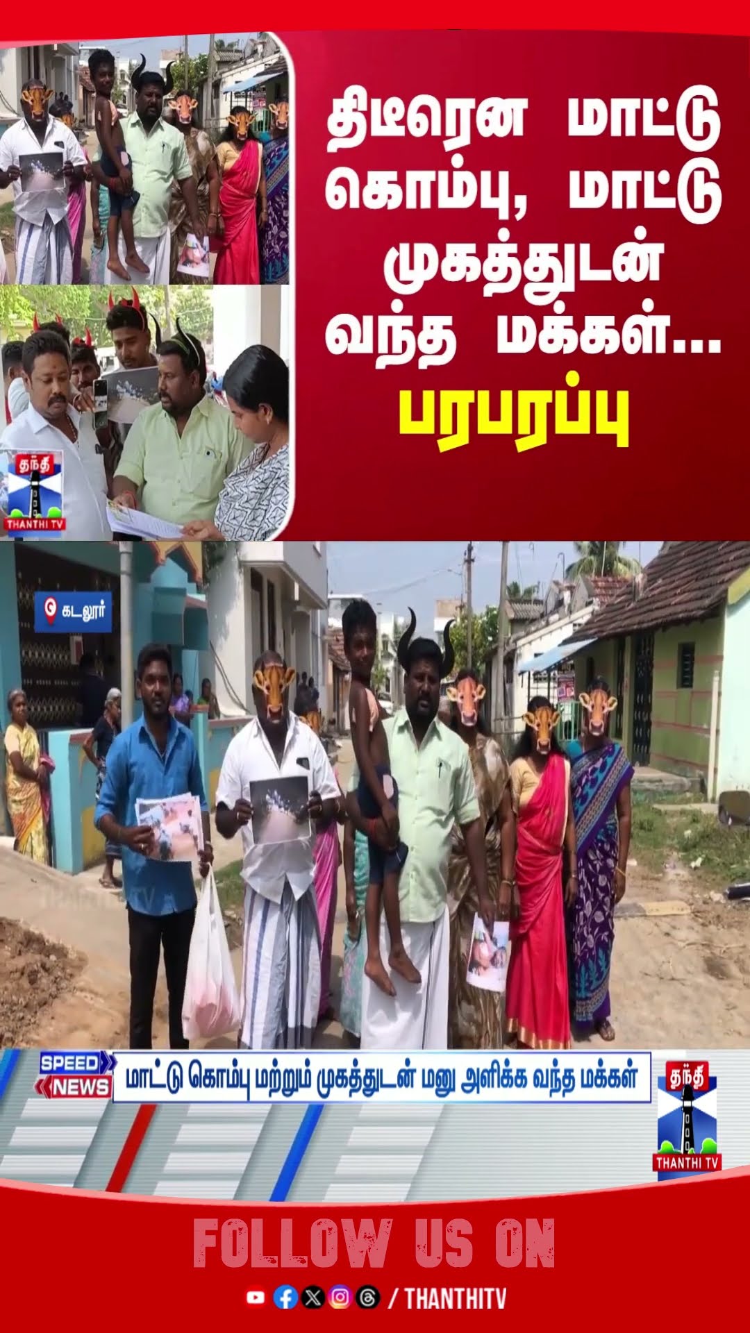 CUDDALORE || COW || HORN || PEOPLE