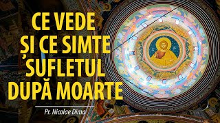 Pr. Nicolae Dima: Ce vede sufletul după moarte