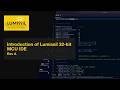 Configuration of the Lumissil 32-bit MCU IDE