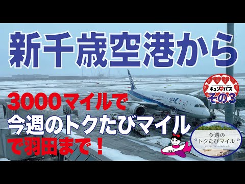 【ソロでいく！】ANA特典航空券『今週のトクたびマイル』を使って3000マイルで新千歳空港から羽田空港まで　キュンパスでの旅の最終回は新千歳空港に泊まって飛行機！