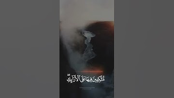 #محمد_هشام || تلاوة جميلة 🤍 ﴿وَجَزَاهُمْ بِمَا صَبَرُوا جَنَّةً وَحَرِيرًا﴾