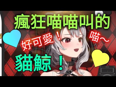 不停喵喵叫的超可愛虎鯨～出沒中！（sakamata chloe/沙花叉クロヱ）（vtuber精華）（hololive精華）