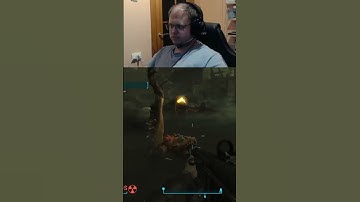 When your sanity gets checked in Fallout 4 Survival | alexdemoniak on #Twitch