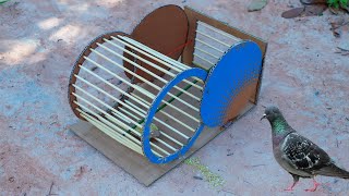Creative Bird Trap Machine Used Paper and Cage Hole