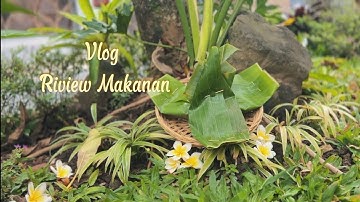 TUGAS INFORMATIKA : VLOG REVIEW MAKANAN IXF SMPN 2 MARGA