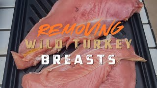 Removing Wild Turkey Breasts