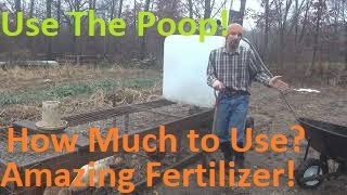How Much Chicken Manure to put in a garden?