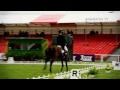 Dressage News
