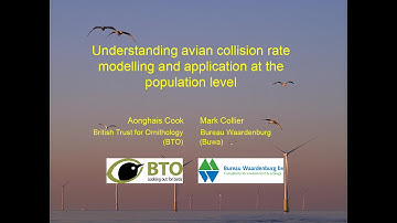 WREN Webinar #3: Understanding Avian Collision Rate Modeling at Land-Based and Offshore Windfarms
