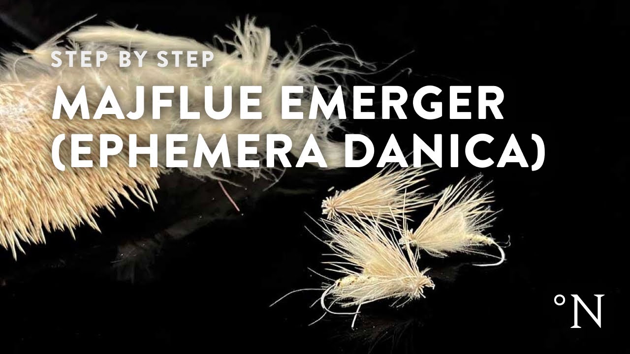 Fluebinding: majflue Emerger (Ephemera Danica)